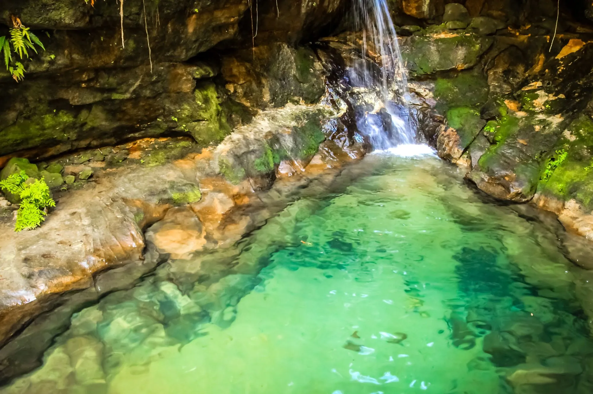 Natural pool in Isalo National Park, near Ranohira