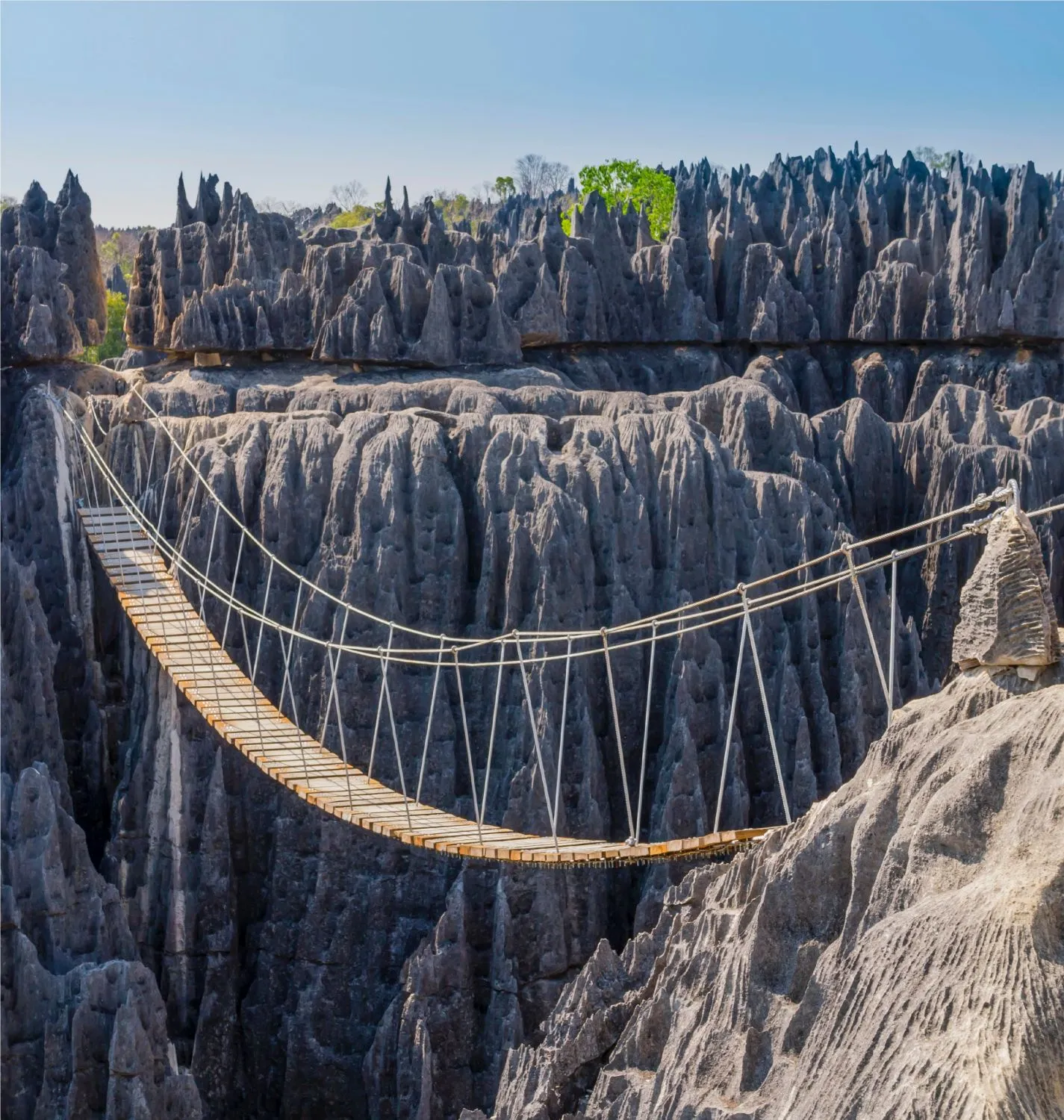 Hängebrücke über den Kalksteinnadeln der Tsingy de Bemaraha