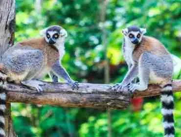travel agency in madagascar