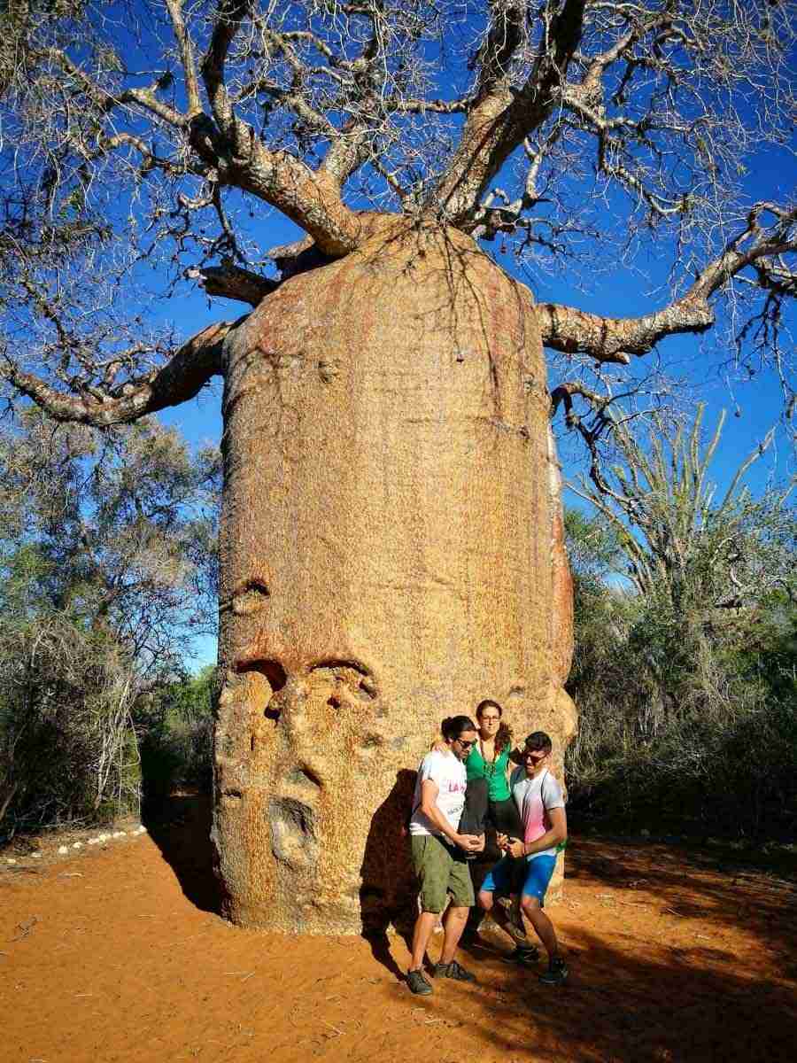 Sud de Madagascar, histoire et culture malgaches