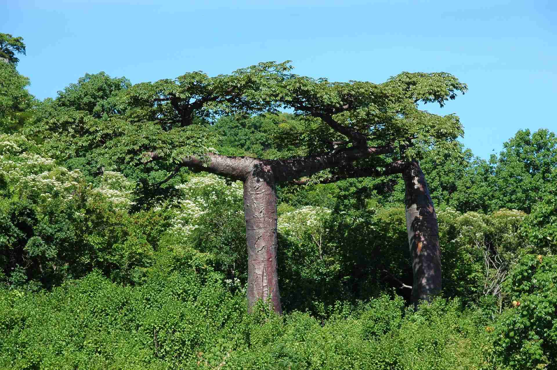 Nosy Hara Madagascar écotourisme