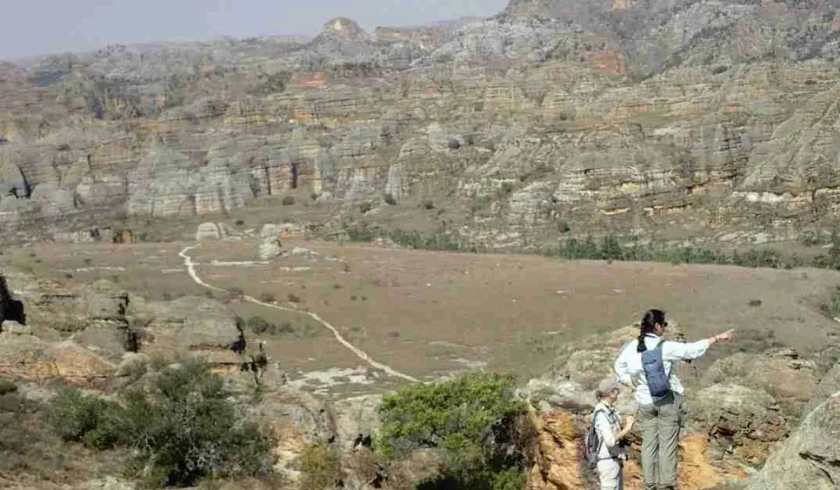canyon20